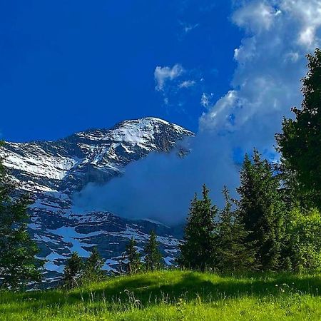Romantisches Plaetzchen In Der Natur Grindelwald Extérieur photo