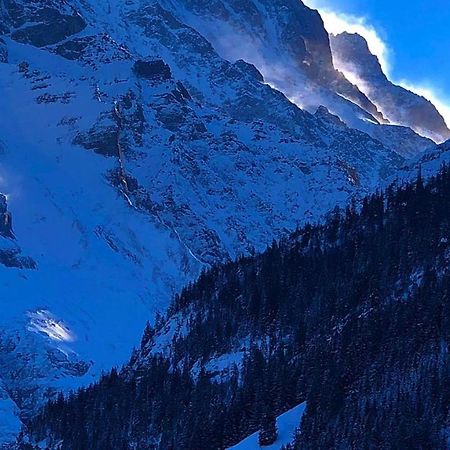Romantisches Plaetzchen In Der Natur Grindelwald Extérieur photo