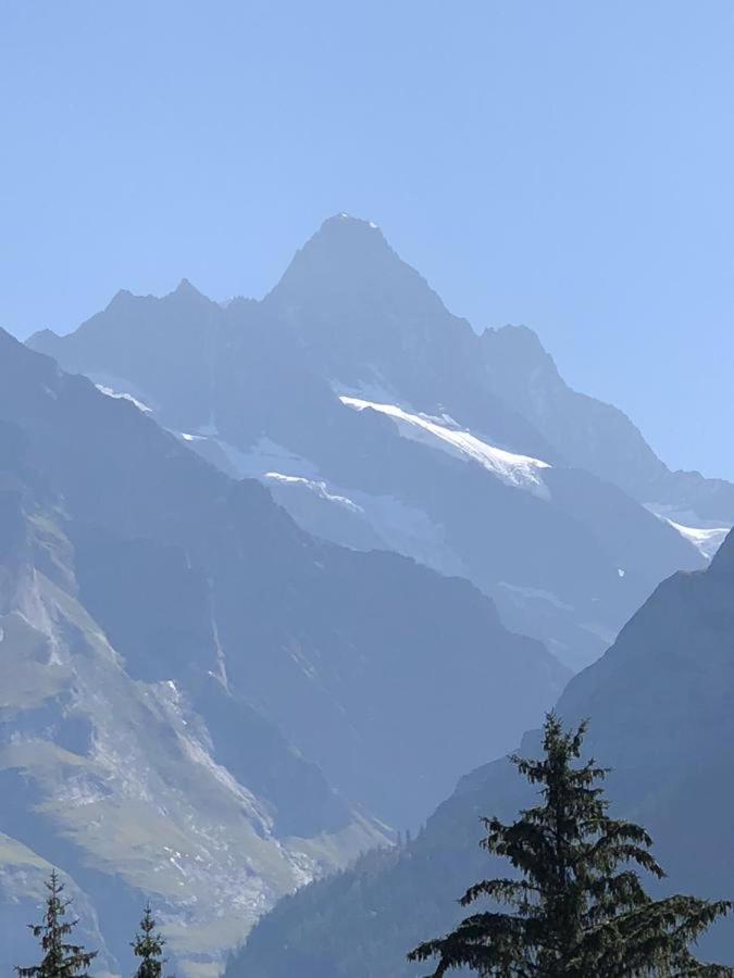 Romantisches Plaetzchen In Der Natur Grindelwald Extérieur photo