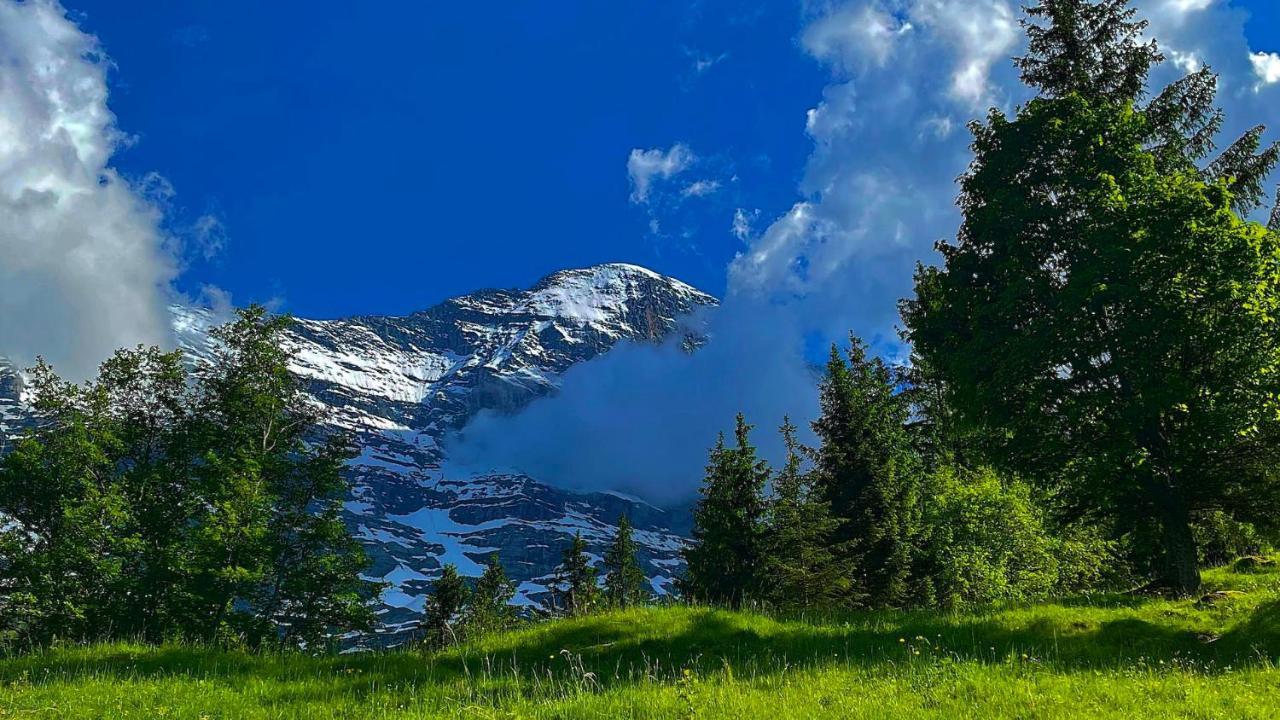 Romantisches Plaetzchen In Der Natur Grindelwald Extérieur photo
