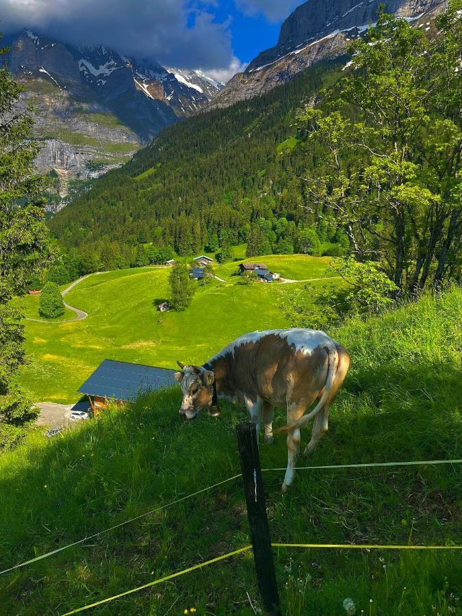 Romantisches Plaetzchen In Der Natur Grindelwald Extérieur photo