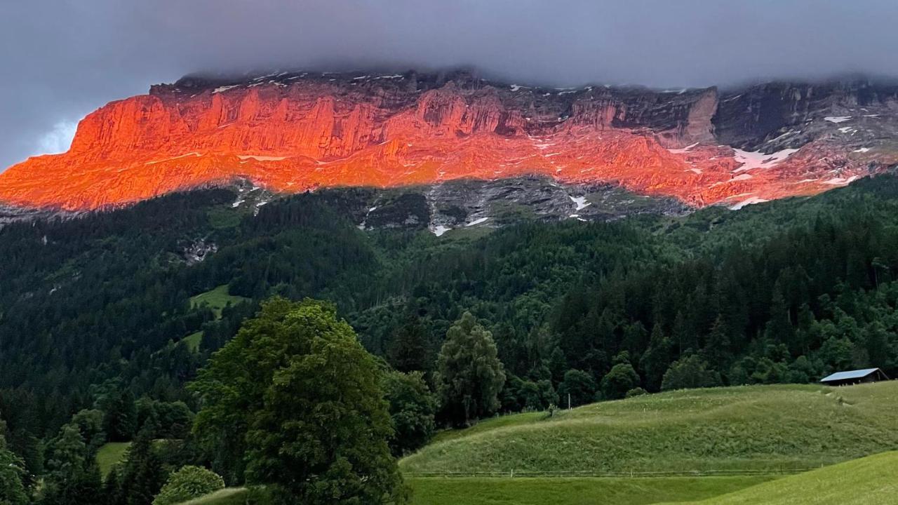 Romantisches Plaetzchen In Der Natur Grindelwald Extérieur photo
