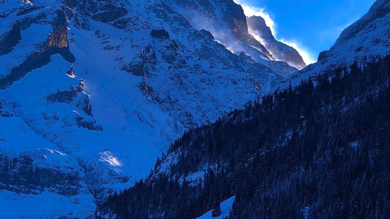Romantisches Plaetzchen In Der Natur Grindelwald Extérieur photo