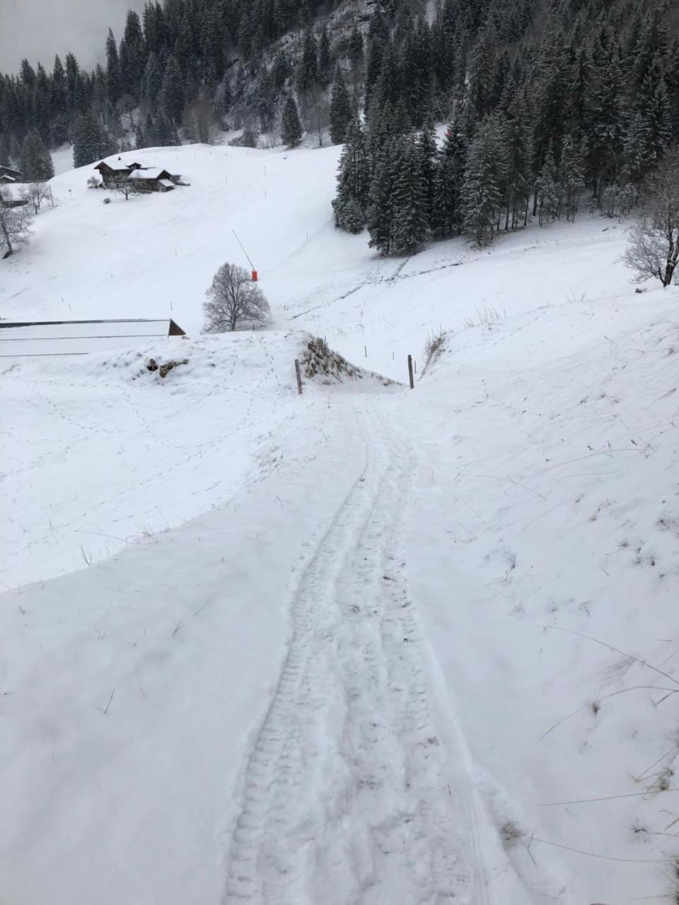 Romantisches Plaetzchen In Der Natur Grindelwald Extérieur photo