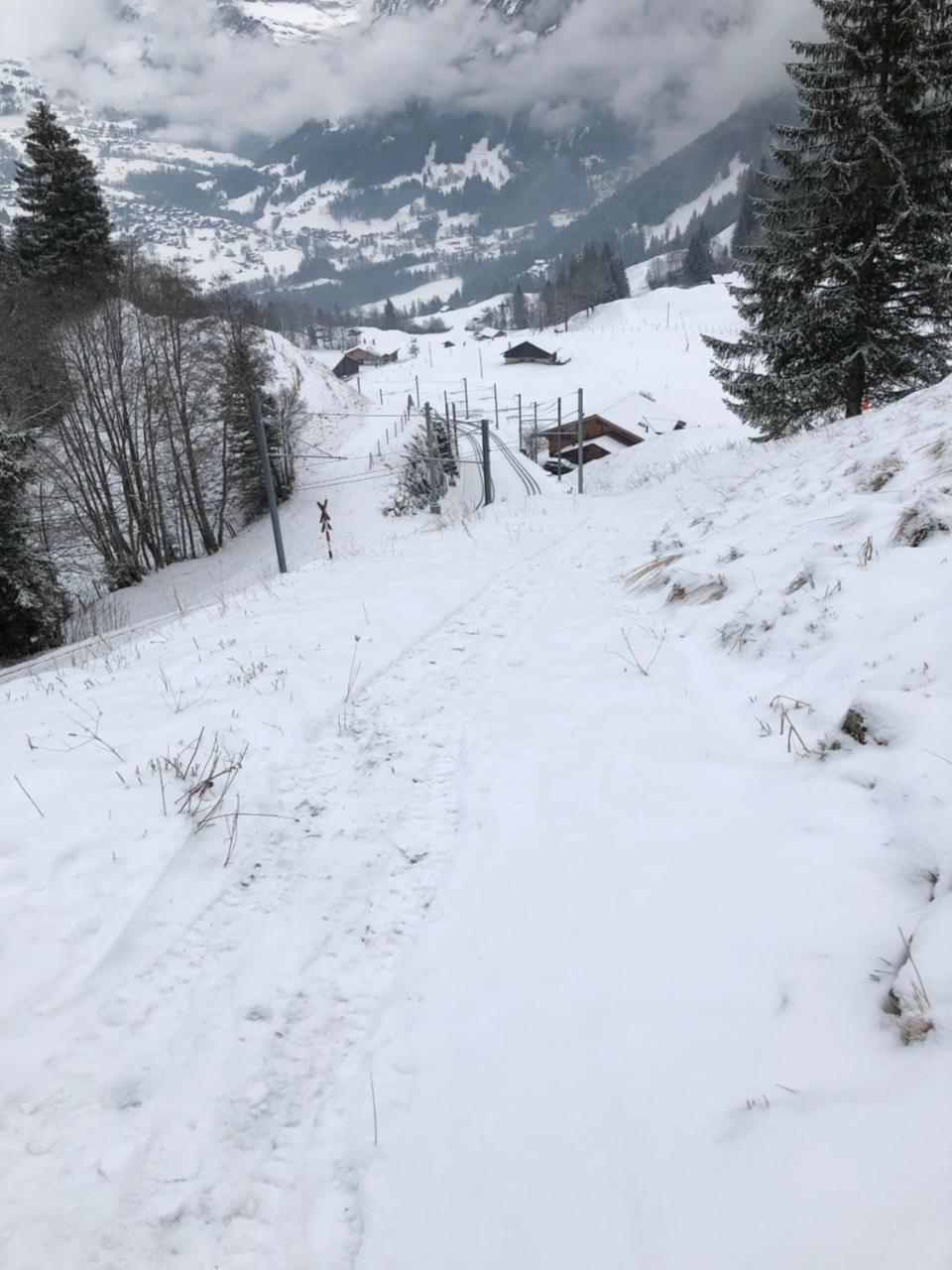 Romantisches Plaetzchen In Der Natur Grindelwald Extérieur photo