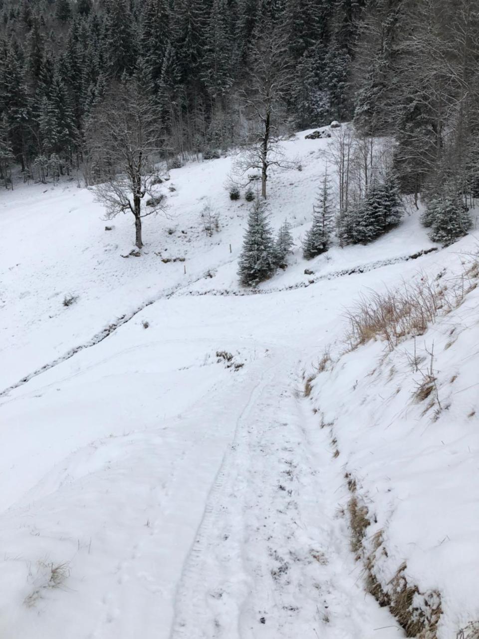 Romantisches Plaetzchen In Der Natur Grindelwald Extérieur photo
