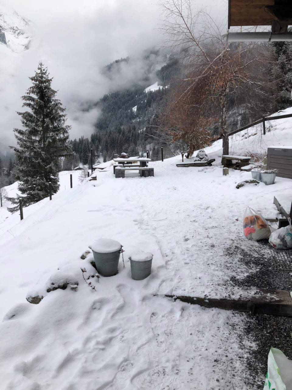 Romantisches Plaetzchen In Der Natur Grindelwald Extérieur photo