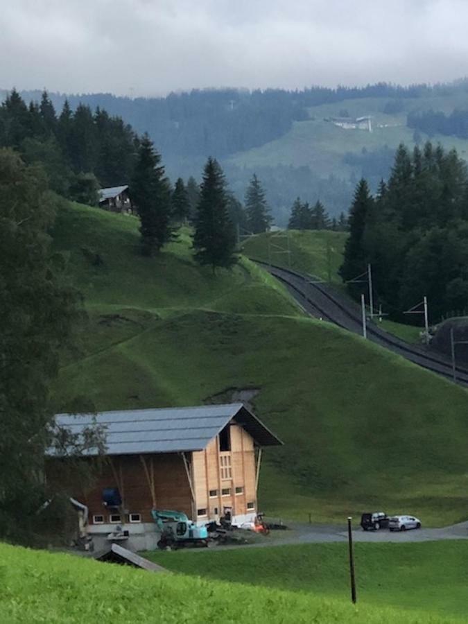 Romantisches Plaetzchen In Der Natur Grindelwald Extérieur photo